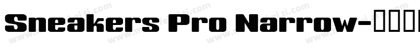 Sneakers Pro Narrow字体转换
